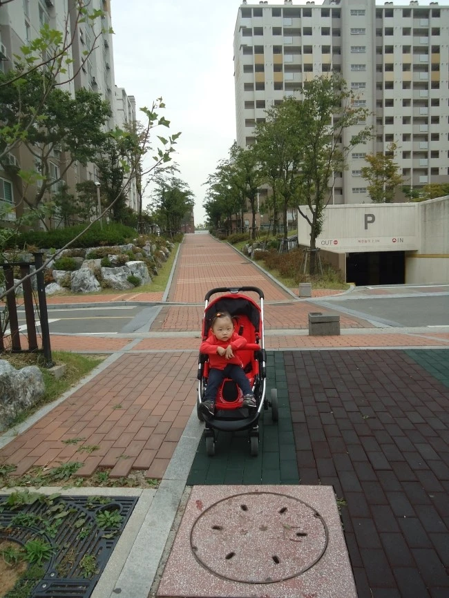 DSC01874.JPG?type=w1