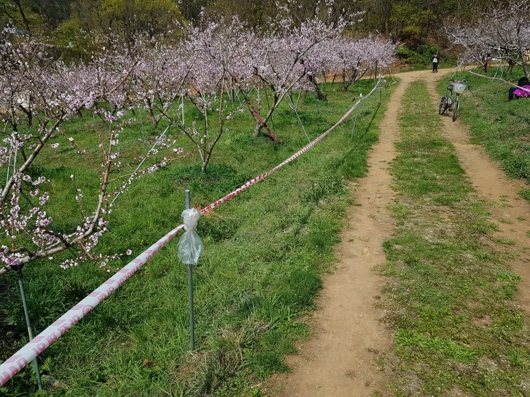 DJI_20180420_102741.jpg?type=w773