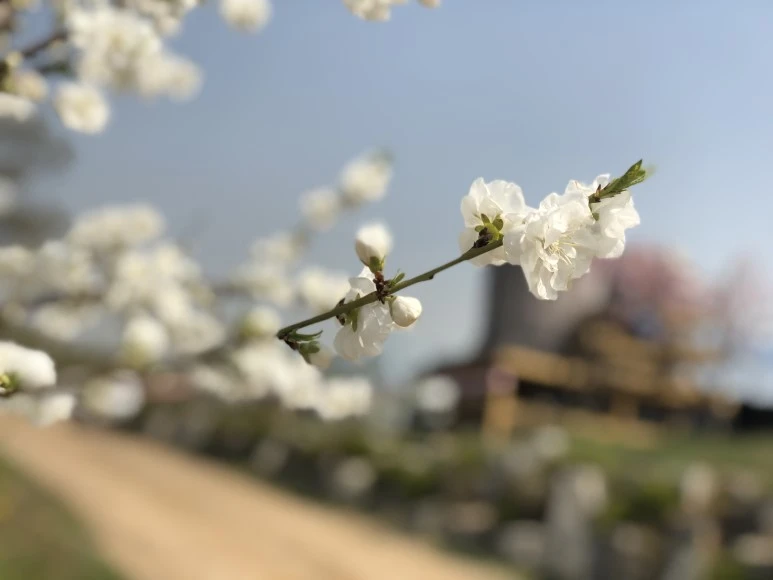 IMG_4776.JPG?type=w773