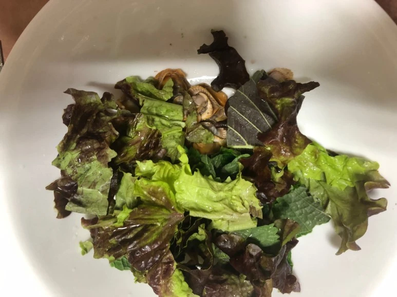 image_1303901901543678369886.jpg?type=w773