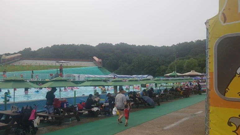 20170802_164556.jpg?type=w773