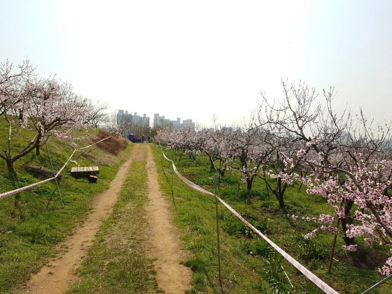 DJI_20180420_102727.jpg?type=w773