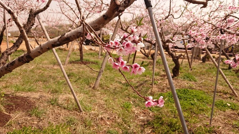 DSC_0260.JPG?type=w773