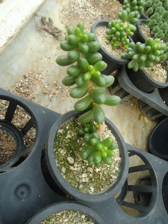 DSC02442.JPG?type=w1