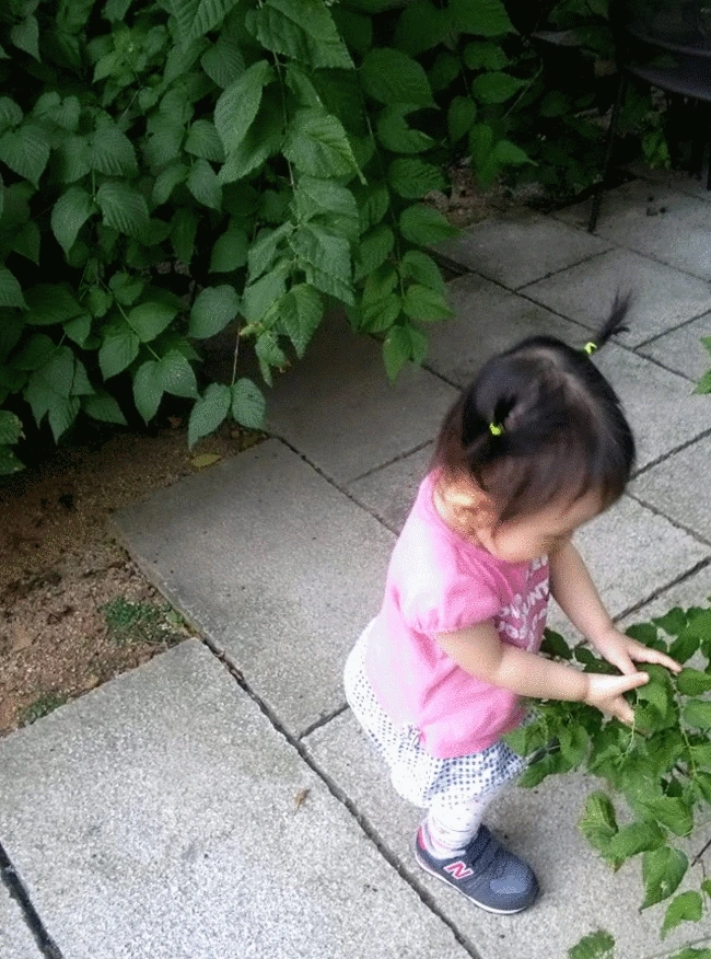 CAM00366-MOTION.gif?type=w1