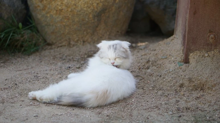 DSC03933.JPG?type=w773