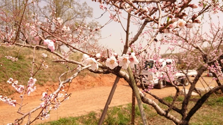 DSC_0264.JPG?type=w773