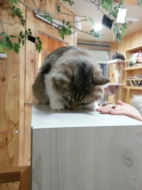 20131208_150321.jpg?type=w1