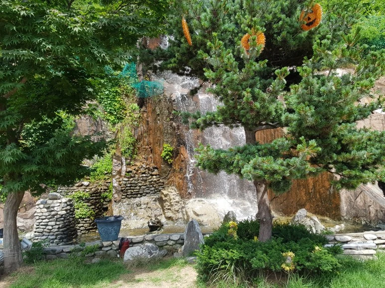 20180707_145858.jpg?type=w773