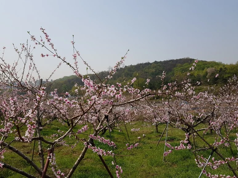 DJI_20180420_102633.jpg?type=w773