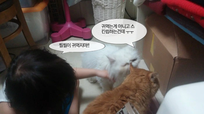 2139B64A5561F97F263F6C