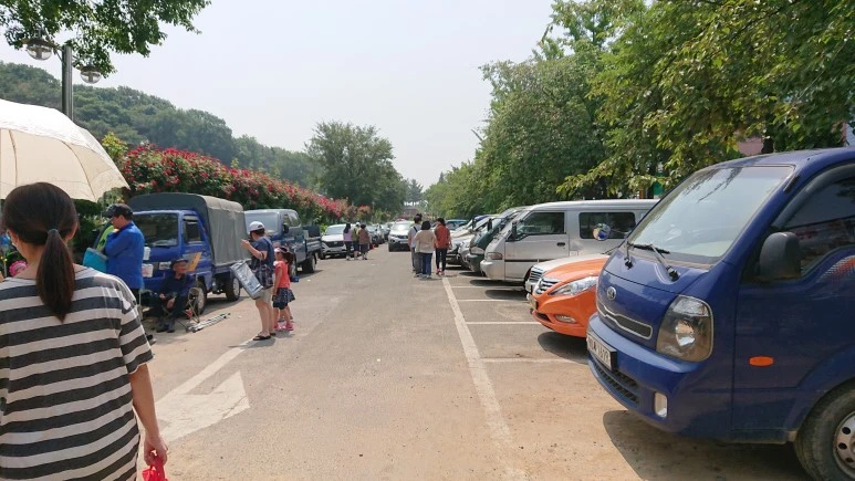 DSC_0254.JPG?type=w773