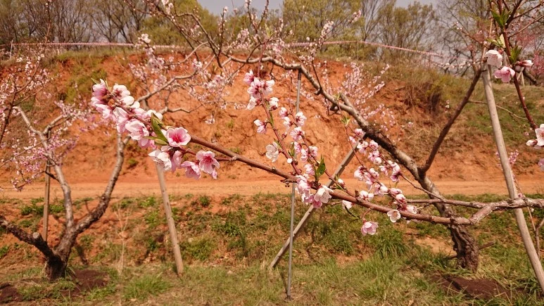 DSC_0261.JPG?type=w773