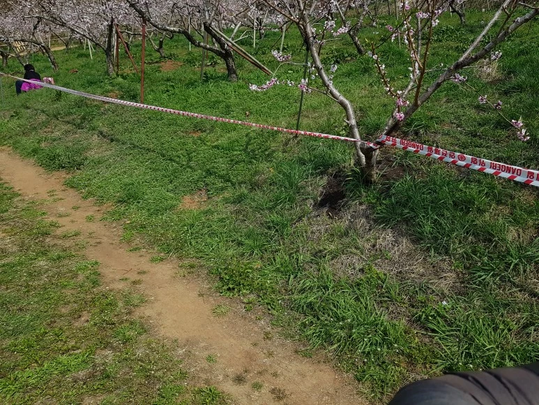 DJI_20180420_102744.jpg?type=w773