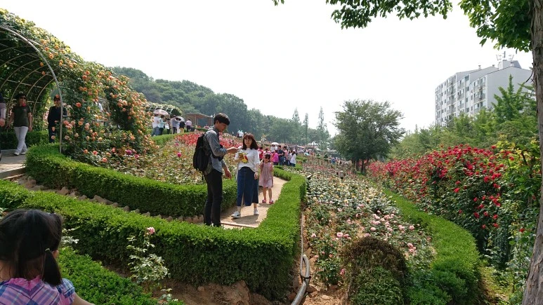 DSC_0255.JPG?type=w773