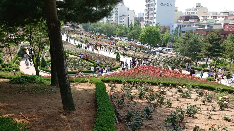 DSC_0264.JPG?type=w773