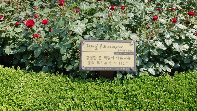 DSC_0289.JPG?type=w773