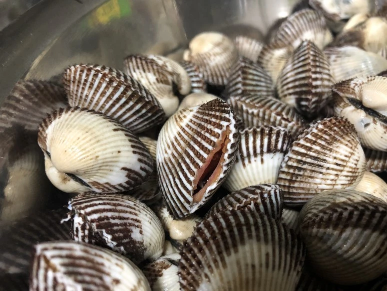 P20181201_195111554_2873E5CE-C47C-4C65-AC2B-1CF235DDFF7A.JPG?type=w773