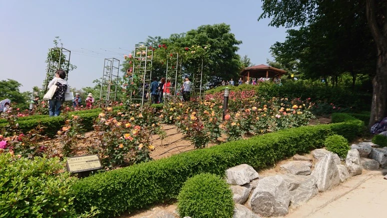 DSC_0274.JPG?type=w773