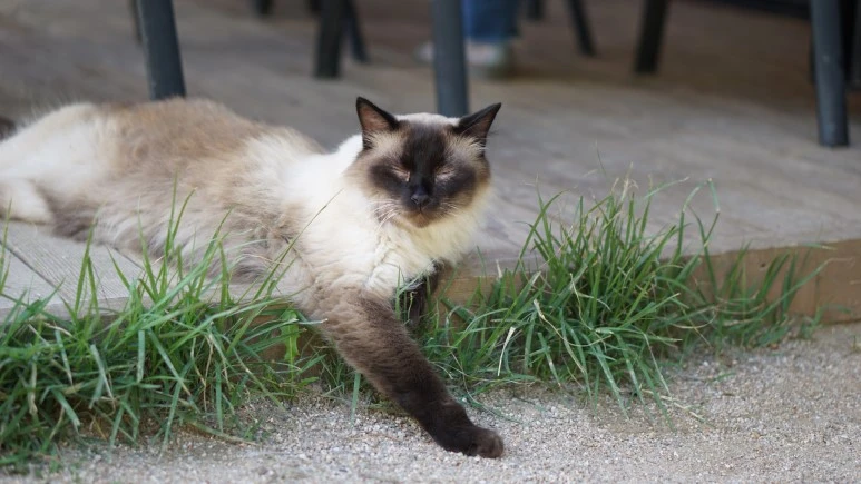 DSC03918.JPG?type=w773