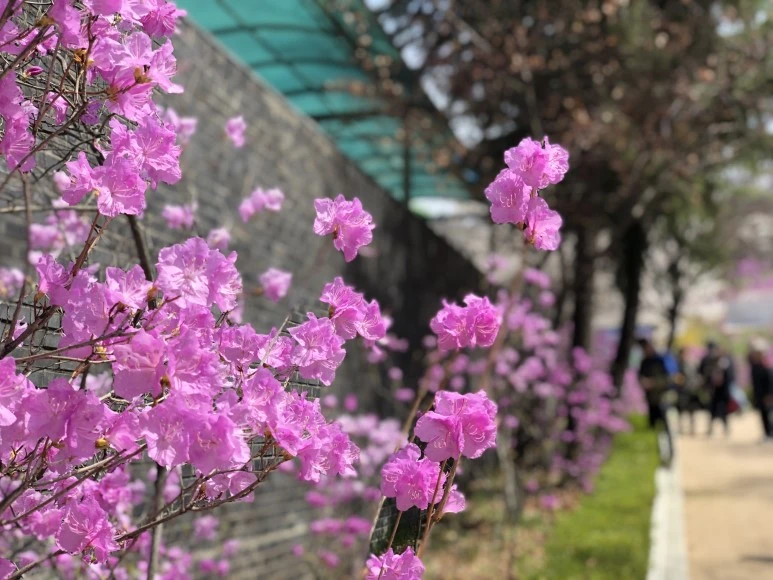 IMG_4123.JPG?type=w773