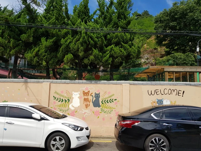 20180707_150942.jpg?type=w773