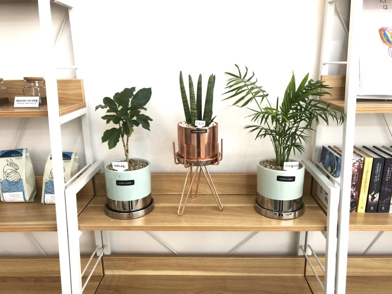 %EC%82%AC%EC%A7%84_2018._3._29._%EC%98%A4%ED%9B%84_12_01_34.jpg?type=w773