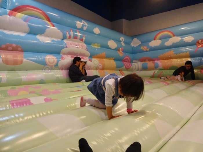 26386342556D063F32D06C