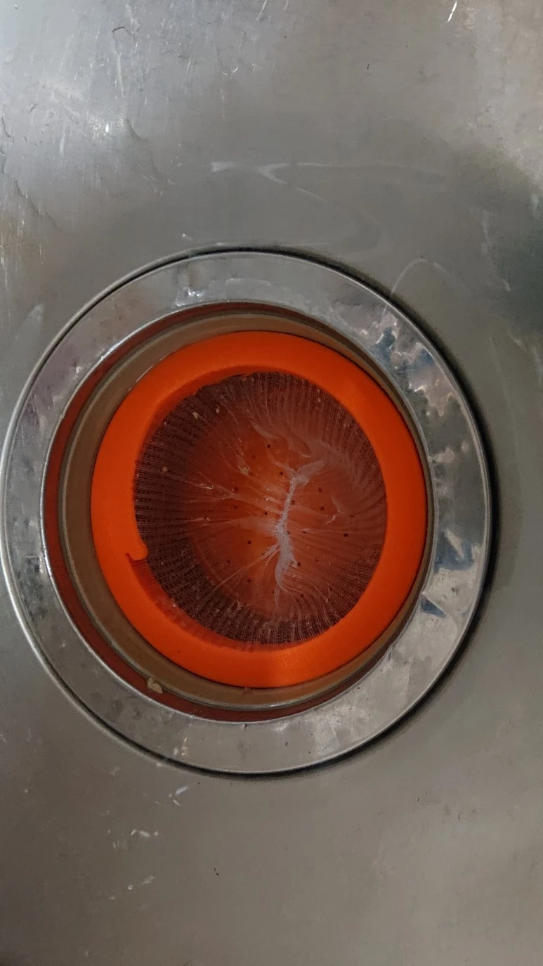 DSC_0140.JPG?type=w773