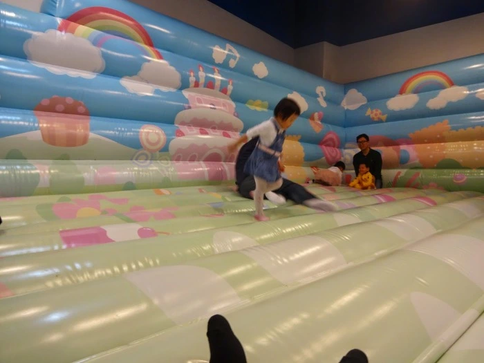 25418340556D06462260C8