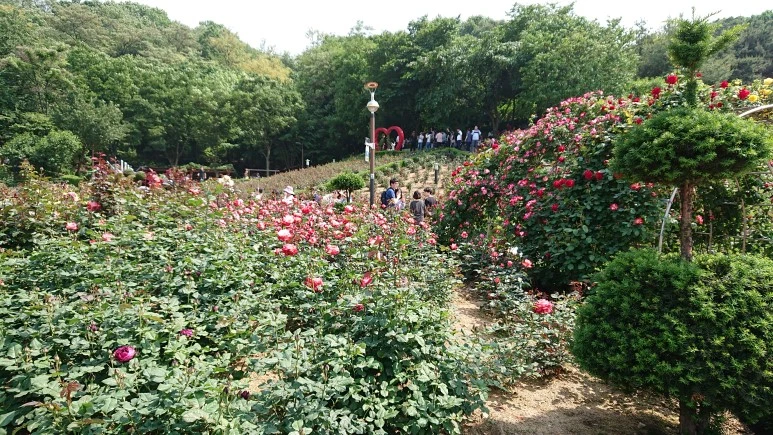 DSC_0284.JPG?type=w773