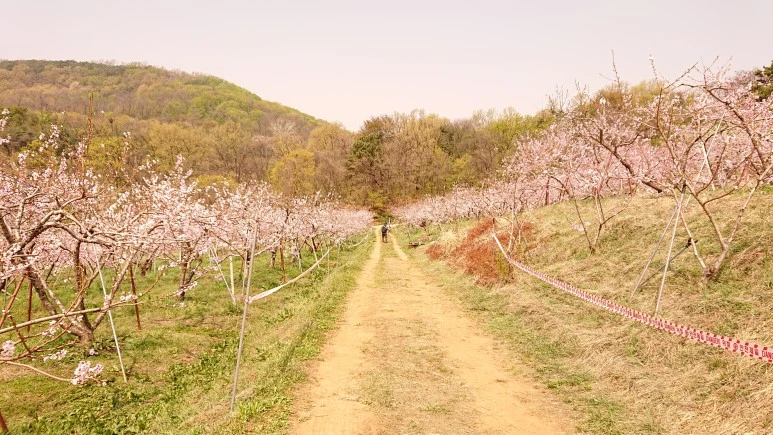 DSC_0239.JPG?type=w773