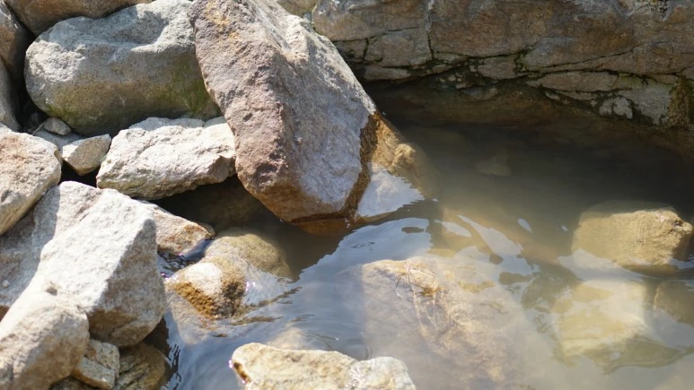 DSC04038.JPG?type=w773