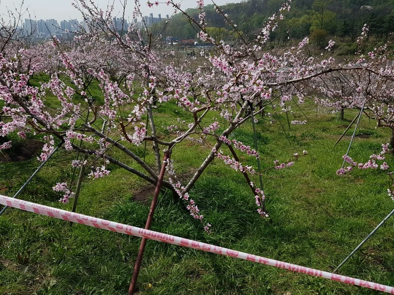 DJI_20180420_102735.jpg?type=w773