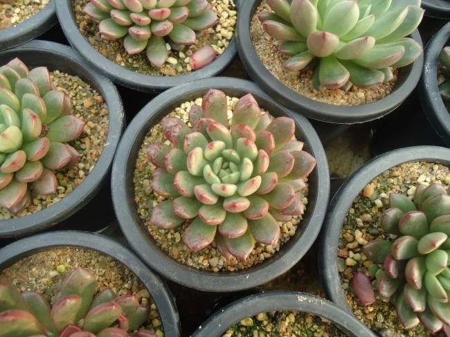 DSC02456.JPG?type=w1