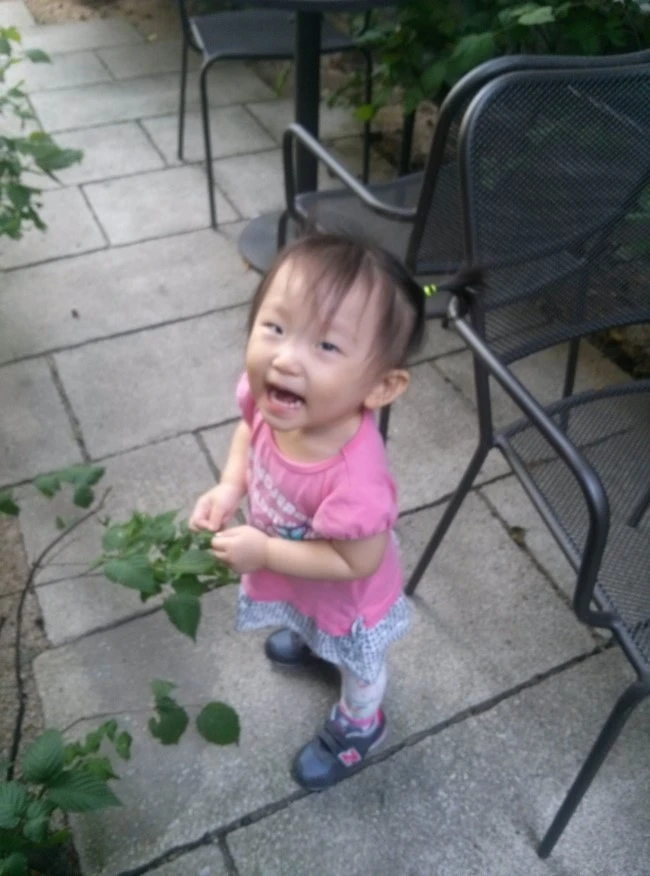 CAM00325.jpg?type=w1