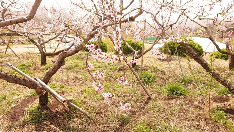 DSC_0258.JPG?type=w773