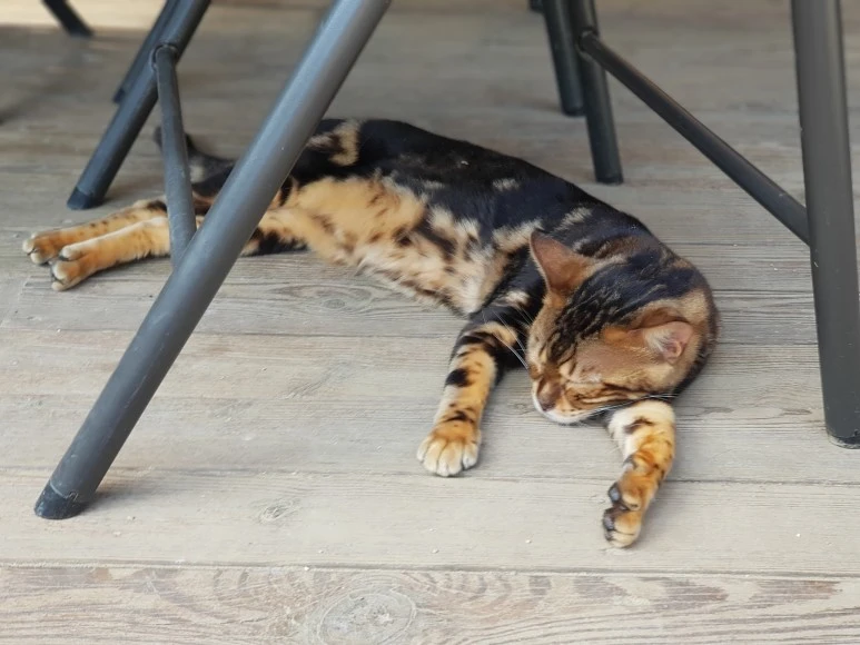 20180707_150110.jpg?type=w773