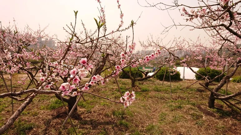 DSC_0262.JPG?type=w773