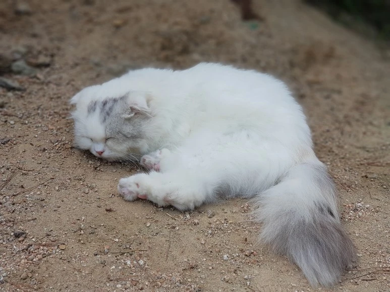 20180707_150036.jpg?type=w773