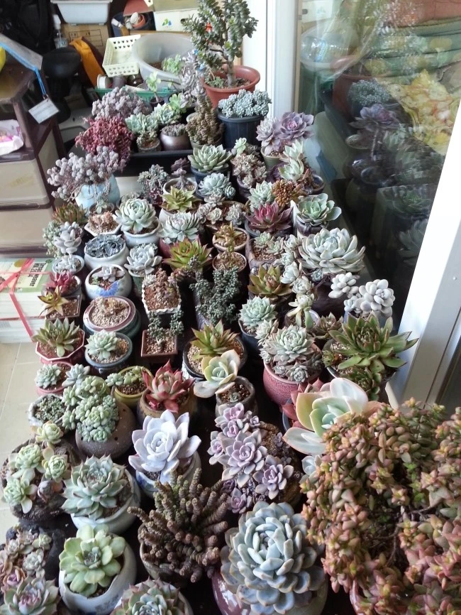 20131129_084819.jpg?type=w1