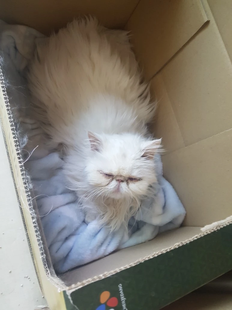 20170323_162157.jpg?type=w773