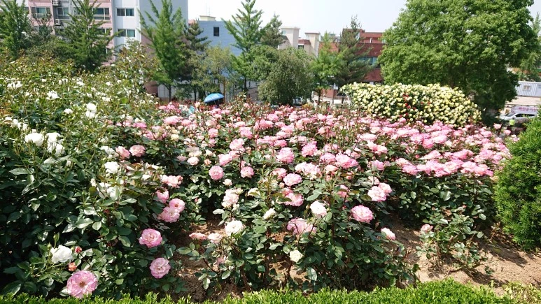 DSC_0281.JPG?type=w773