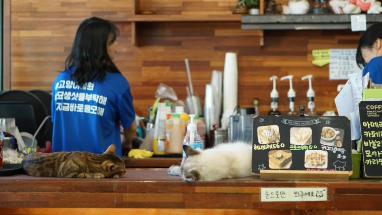 DSC03930.JPG?type=w773