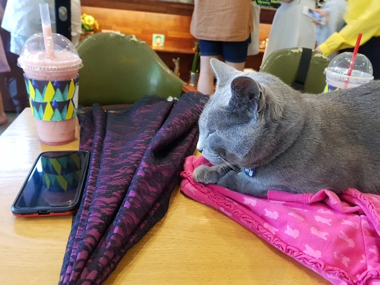 20180707_145129.jpg?type=w773