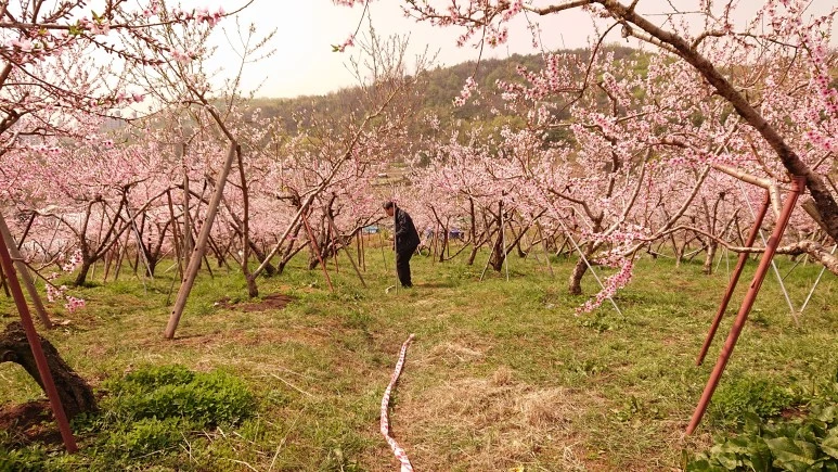 DSC_0240.JPG?type=w773