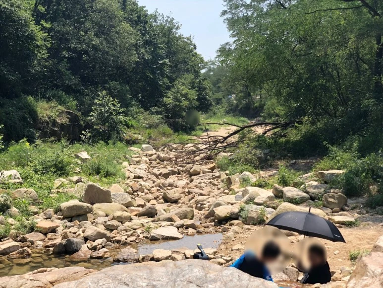 image_4124315071532469183279.jpg?type=w773