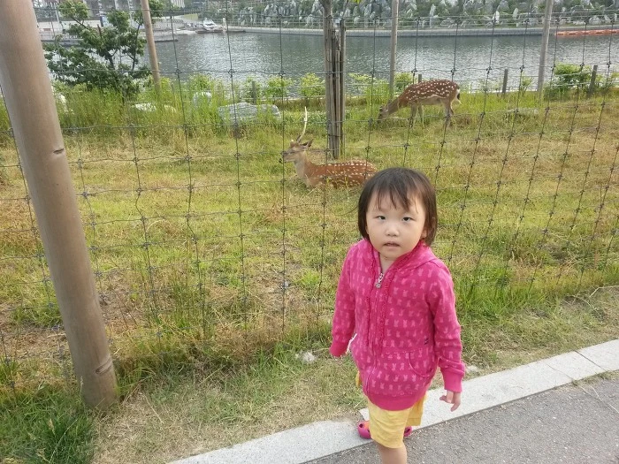 215BFF4E557E2EAF2B19AE