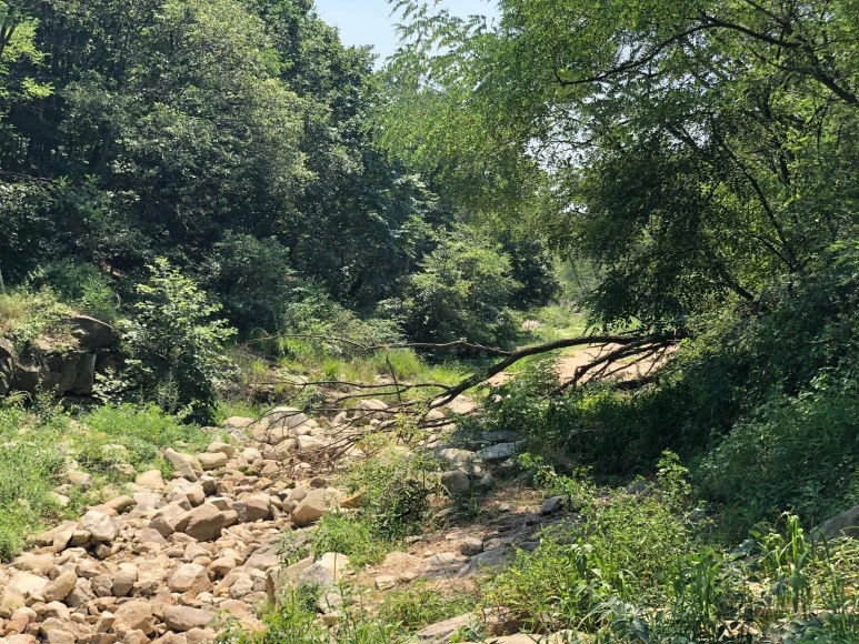 IMG_6319.JPG?type=w773