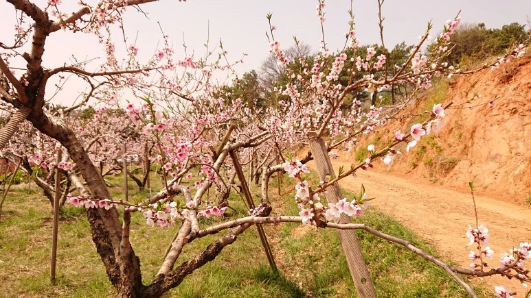 DSC_0266.JPG?type=w773